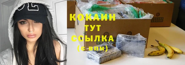 спиды Рославль